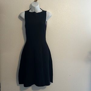 NWOT BLACK LARK & RO DRESS SLEEVELESS
